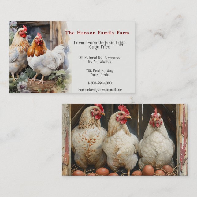 Carte De Visite Oeufs Biologiques Poulet De La Ferme (Devant / Derrière)