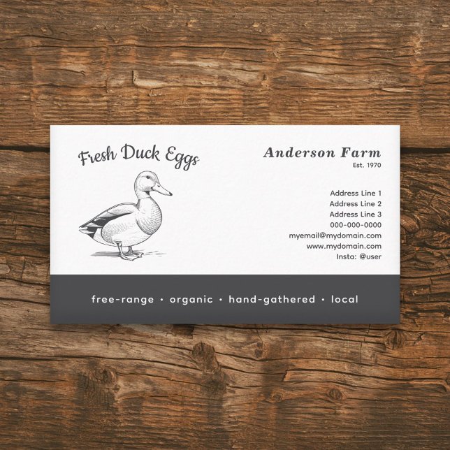 Carte De Visite OEufs De Canard De Ferme Fraîches (Simple Fresh Farm Duck Eggs Business Card)