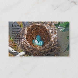 Carte De Visite Oeufs de Robin dans un nid d'arbre de jardin