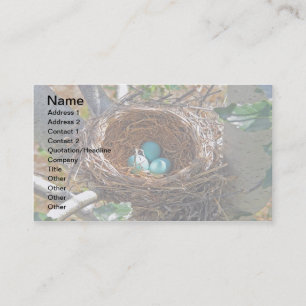 Carte De Visite Oeufs de Robin dans un nid d'arbre de jardin