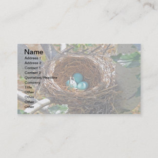 Carte De Visite Oeufs de Robin dans un nid d'arbre de jardin