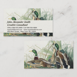 Carte De Visite Œuvre d'art faunique vintage sur le canard colvert