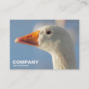 Carte De Visite Oie blanche coquine