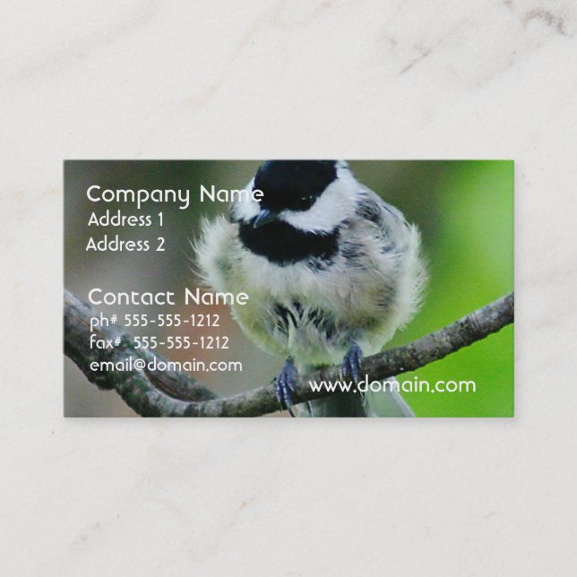 Carte De Visite Oiseau de Chickadee couvert par noir (Devant)