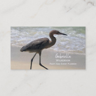 Carte De Visite Oiseau de plage