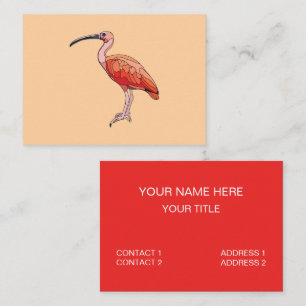 Carte De Visite Oiseau Ibis Scarlet
