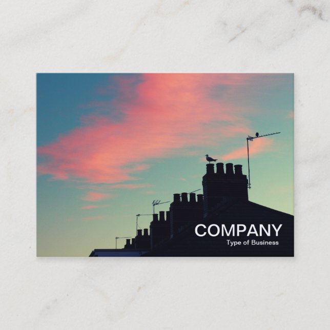 Carte De Visite Oiseaux primitifs (Devant)