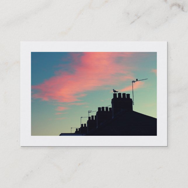 Carte De Visite Oiseaux primitifs (Bordé) (Devant)