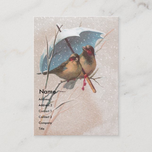 Carte De Visite Oiseaux sous le parapluie bleu (Devant)