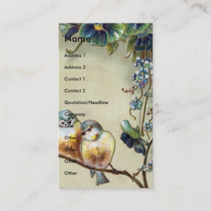 Carte De Visite Oiseaux Vintages