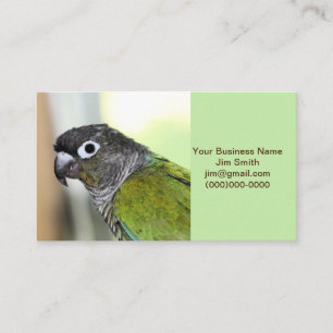 Carte De Visite Ollie wallie
