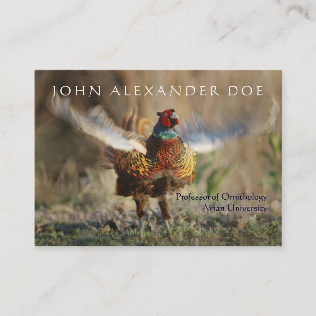 Carte De Visite Onithologist - professeur d'ornithologie - (Devant)