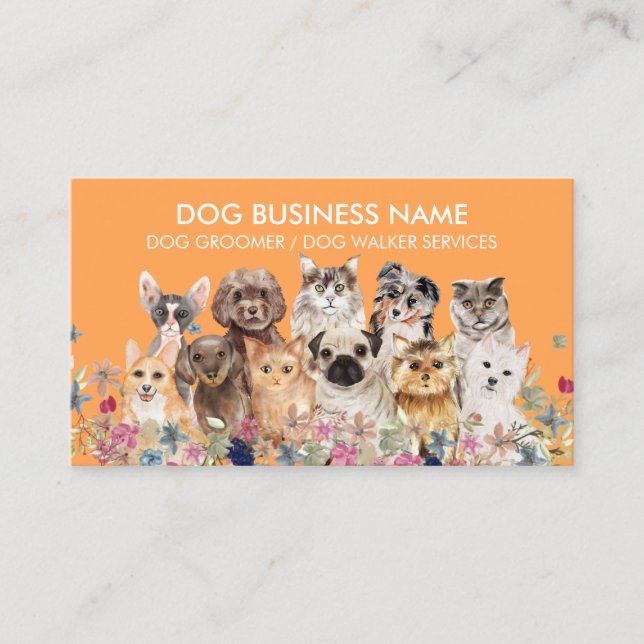 Carte De Visite Orange Chiens Chats Reproducteurs Service De Groom (Devant)
