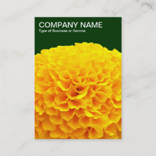 Carte De Visite Orange Chrysanthemum - Vert foncé 003300