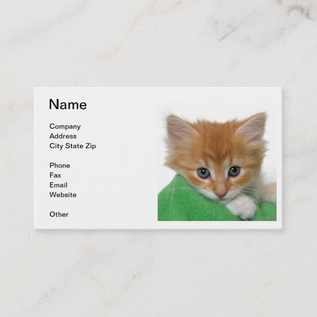 Carte de visite orange de chaton (Devant)