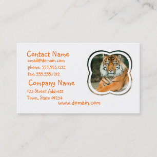 Carte de visite orange de tigre