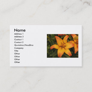 Carte de visite Orange Lily