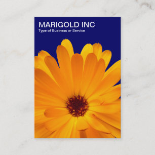 Carte De Visite Orange Marigold - Deep Navy Blue