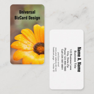 Carte De Visite Orange Spring Flash Africain Daisy Gros plan