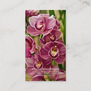 Carte De Visite Orchidée de Cymbidium