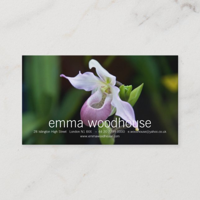 Carte De Visite Orchidée de Phragmipedium (Devant)