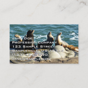 Carte De Visite Otaries de San Diego