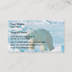Carte De Visite Ours blanc