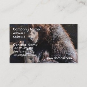 Carte De Visite Ours de trempage