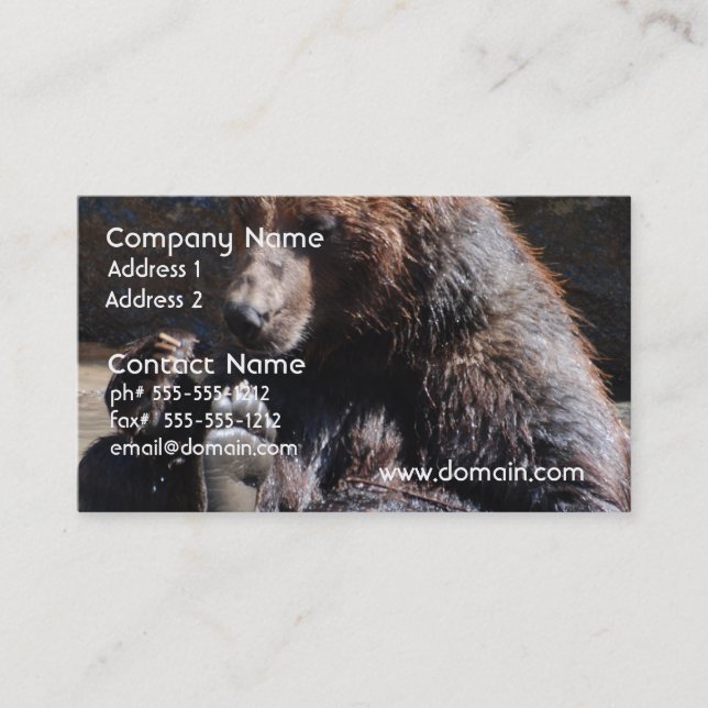 Carte De Visite Ours de trempage (Devant)