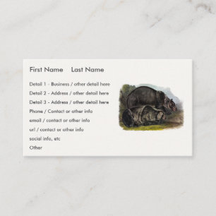 Carte De Visite Ours grizzli (Ours Brown nord-américain) - Audubon