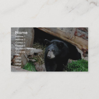 Carte De Visite Ours noir