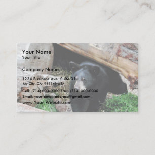 Carte De Visite Ours noir
