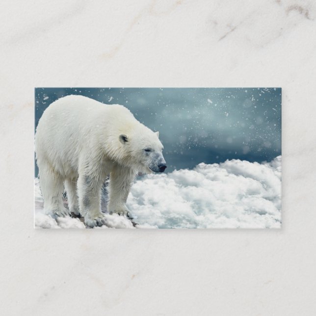 Carte De Visite Ours polaire (Devant)