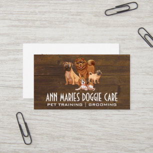 Carte De Visite Pack Canine   Formation et soins Doggie