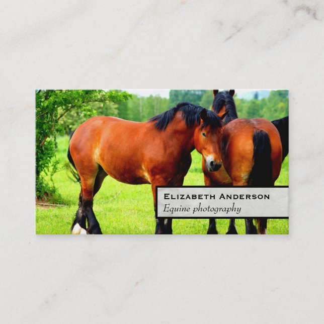 Carte De Visite Paire De Chevaux Polonais De Baie | Paysage vert (Devant)