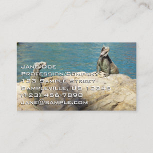 Carte De Visite Paire d'iguanes Photographie de faune tropicale