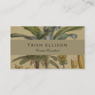 Carte De Visite Palm Antique Fruit Tropical Art Botanique