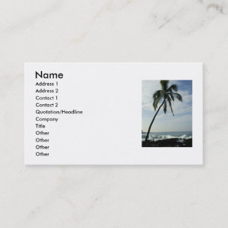 Carte De Visite Palmiers