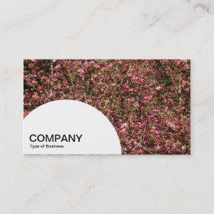 Carte De Visite Panneau demi-cercle - Fleur de cerise rose 02