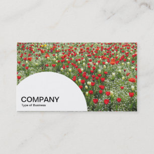 Carte De Visite Panneau demi-cercle - Lit de tulipes