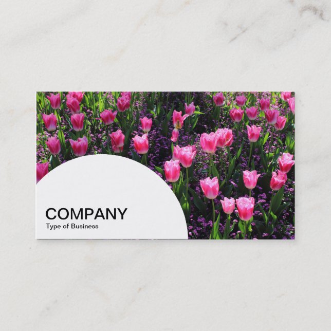 Carte De Visite Panneau demi-cercle - Lit de tulipes roses (Devant)