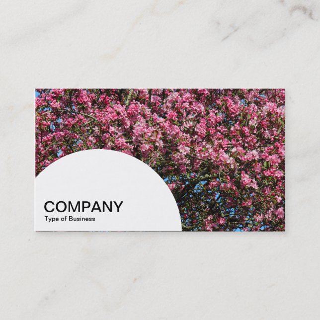 Carte De Visite Panneau en demi-cercle - Fleur de cerise rose (Devant)