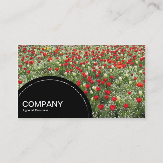 Carte De Visite Panneau semi-cercle (points) - Lit de tulipes (Devant)