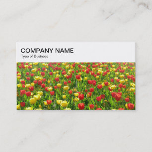 Carte De Visite Panneau supérieur - Tulipes rouges et jaunes 02 Ca