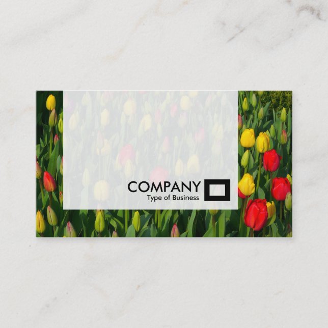 Carte De Visite Panneau - Tulipes (Devant)