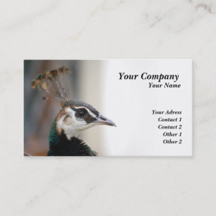 Carte De Visite Paon