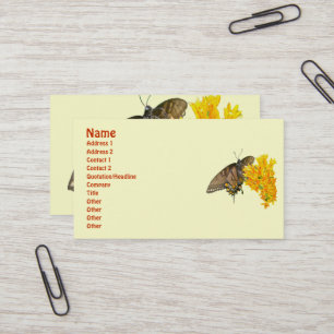 Carte De Visite Papillon à queue épaisse de tigre (Papilio glauc