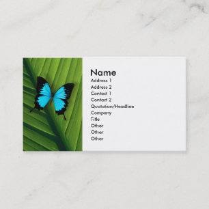 Carte De Visite Papillon bleu