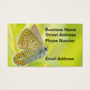 Carte de visite Papillon contemplatif