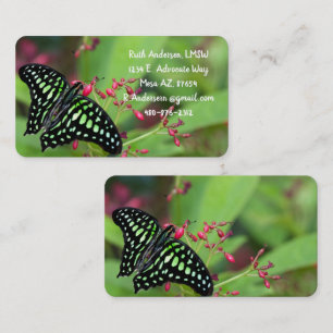Carte De Visite Papillon Jay